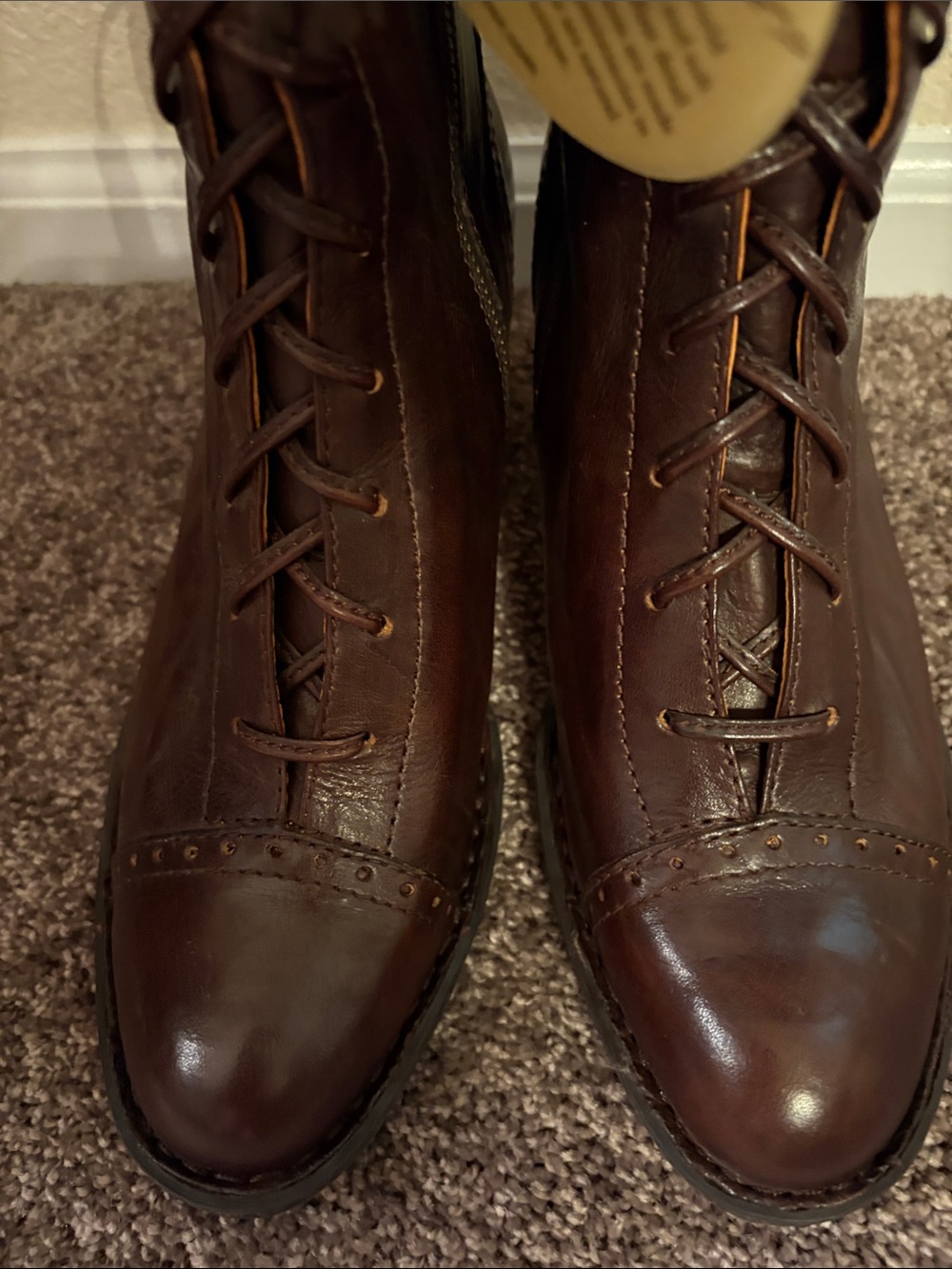 NIBWT BORN RARE Gorgeous Brown Leather Lace-Up Ankle Boots with Side Zipper-8/39 - Picture 8 of 17